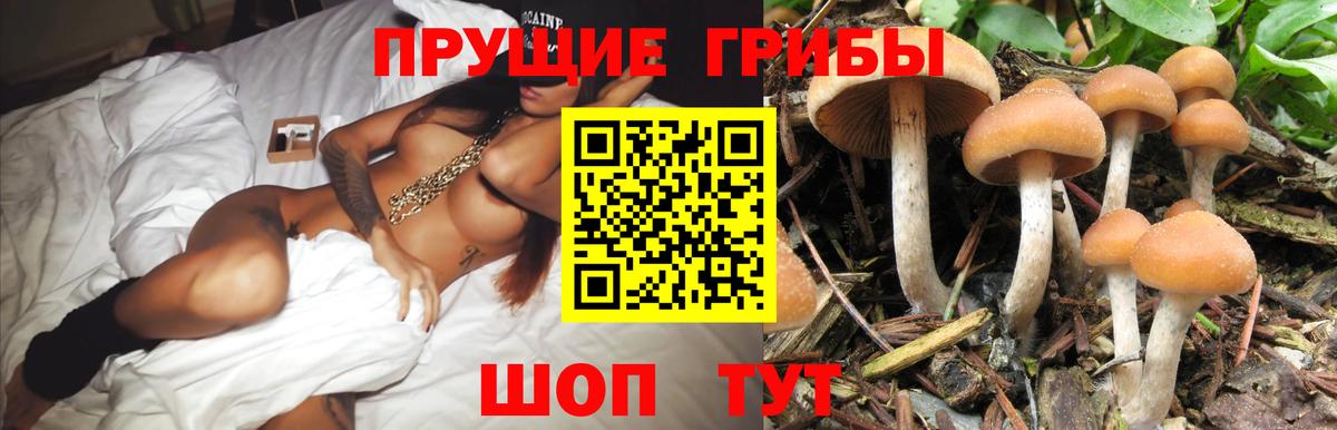 Псилоцибиновые грибы прущие грибы Костомукша